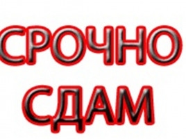 Сдаю офис 28 м2, 36 м2, 100 м2, район 1 000 Мелочей, б/п