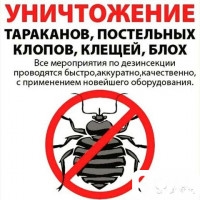 Дезинфекция тараканы. Паразиты. Ош