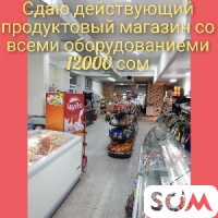Сдаю продуктовый магазин