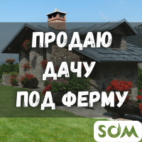 Продаю дачу под ферму, г. Кант, 10 000 $, б/п