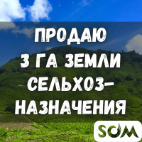 Продаю 3 ГА земли сельхозназначения, Иссык-Куль, с. Бостери, б/п