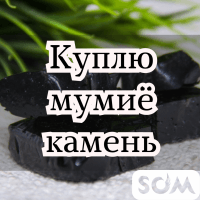 Куплю мумиё - камень!