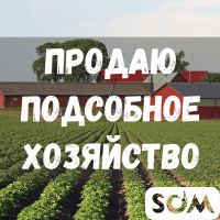 Продаю подсобное хозяйство + 9,2 ГА земли, с. Жаны-Жер, б/п