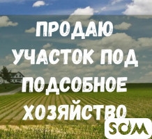 Продаю участок под подсобное хозяйство, 13.6 ГА, Сокулукский р-н, б/п