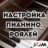 Профессиональная настройка пианино, роялей!