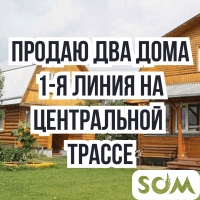 Продаю два дома вниз по Советской, с большими участками, б/п