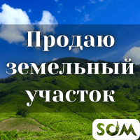 Продаю участок, 5 ГА, с. Кызыл-Туу, Иссык-Куль, б/п