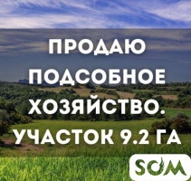 Продается подсобное хозяйство, 9.2 ГА, Сокулукский р-он, б/п