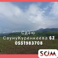 Сдаю Сауну Куренкеева 62  *** 
