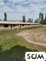 Продается кошара, участок 1 ГА, с.Тош Булак (Белогорка), б/п