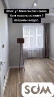 Продаю 1-комнатную квартиру, Манаса 201 / Васильева, б/п