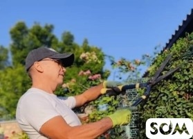 "Садовник на час"! Обрезка, обслуживание сада.