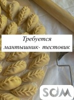 Требуется в кафе мантышник-тестовик