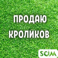 Продаю кроликов лучшей породы. Разного возраста