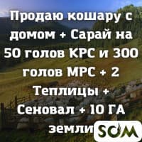 Продаю кошару с домом, с подвалом + 10 ГА земли + сарай для скота