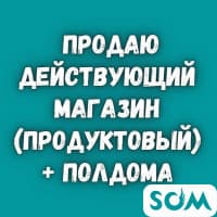 Продаю действующий магазин (продуктовый) + полдома, Горького/Элебаева