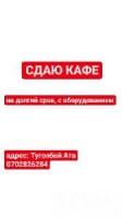 Сдаю кафе на долгий срок