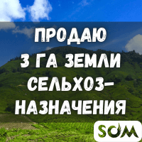 Продаю 3 ГА земли сельхозназначения, Иссык-Куль, с. Бостери, б/п