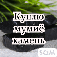 Куплю мумиё - камень!
