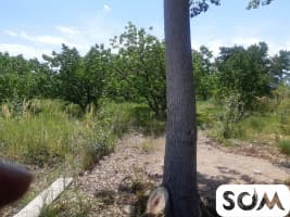 Продаётся Фазенда Иссык Кулье недалеко от г.Балыкчы 5га есть дом,все Х