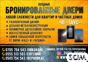 Бронированные и входные двери в Бишкеке