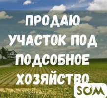 Продаю участок под подсобное хозяйство, 13.6 ГА, Сокулукский р-н, б/п