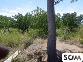 Продаётся Фазенда Иссык Кулье недалеко от г.Балыкчы 5га есть дом,все