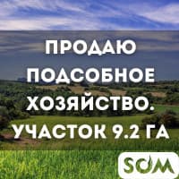 Продаю подсобное хозяйство, участок 9,2 ГА, с. Жаны-Жер, б/п