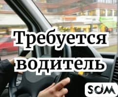 Требуется водитель со своим авто для раздачи еды С 09:00 до 17:00 За
