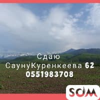 Сдаю Сауну Куренкеева 62  *** 