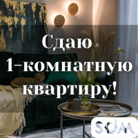 Сдаю 1-комнатную квартиру, Шопокова/Боконбаева, б/п