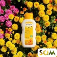 Weleda масло с календулой для младенцев