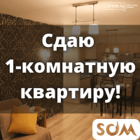 Сдаю 1-комнатную квартиру, в центре, 30 000 сом, б/п