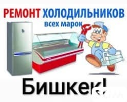 Ремонт холодильников, стиральных, газовых плит выезд  *** 