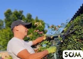 "Садовник на час"! Обрезка, обслуживание сада.