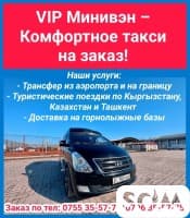 VIP Минивэн – Комфортное такси на заказ! Туристические поездки по Кырг